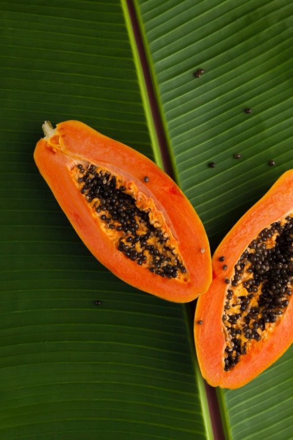 EXOCTIC SKIN OILS: Watermelon-Papaya-Raspberry-Apple-Camellia-Jojoba-Calendula-Avocado. SPF