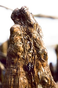 Image 1 of Sculpture Garden Sigil