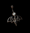 Image of Midnight Hour