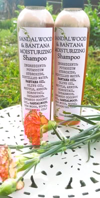Batana Shampoo