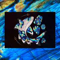 Labradorite Blacktip Reef Shark 5"x7" Fine Art Print