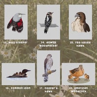 Image 4 of Mini Bird Prints - Custom Bundle