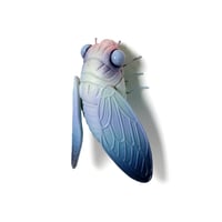 Image 1 of Cicada by Calvin Ma X Erika Sanada