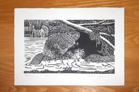 Image 1 of Beavers (linocut print)