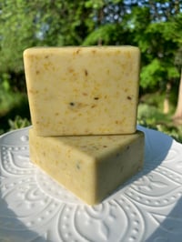 Image 1 of Aloe Vera & Calendula Flower Shaving Bar