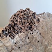 Image 8 of Wonderful Antique Architectural Fragment