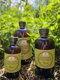 Image of BACK IN STOCK!!!   Digestive Tonic ~ for comforting + nourishment