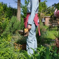 Image 1 of Gardeners Utility Belt Apron - Gathering Pouch - Red Canvas - Gifts for Gardeners