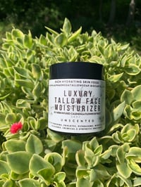Image 2 of Tallow Calendula Face Moisturizer - Unscented