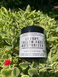 Image 4 of Tallow Calendula Face Moisturizer - Unscented