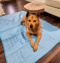 Image 1 of Summer Cooling Ice Silk Pad for your Cat or Dog
