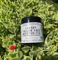 Image 5 of Tallow Calendula Face Moisturizer - Unscented