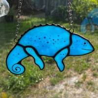 Image 1 of Chameleon v.1