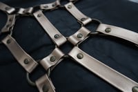 Image 6 of Bahar Harness