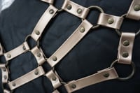 Image 7 of Bahar Harness