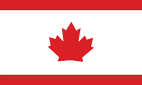 Image 11 of City Vision Flag (15 styles)