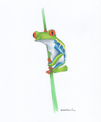 Tree Frog - Original Art - 