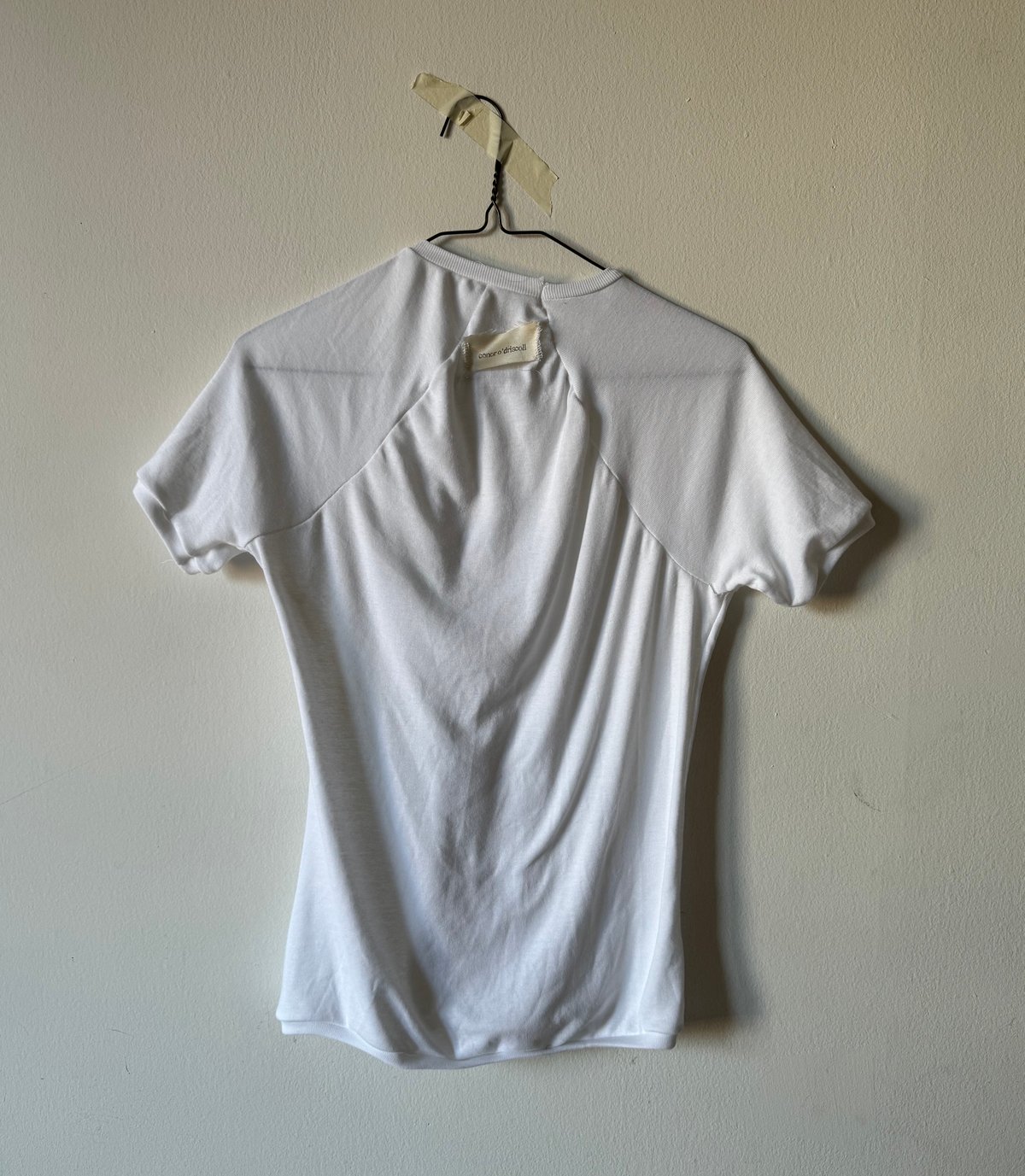 raglan t-shirt