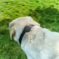 Image 2 of Leather Collar for for Apple Airtag