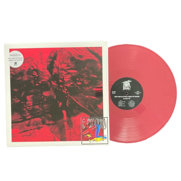 Image of THEY ARE GUTTING A BODY OF WATER "Destiny XL" LP (Fruit Punch Vinyl)