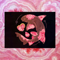Rhodochrosite Nurse Shark 5"x7" Fine Art Print