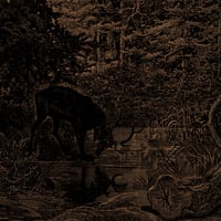 Image 1 of AGALLOCH - Of Stone, Wind, & Pillor (Remastered), LP (Liquid Amber)