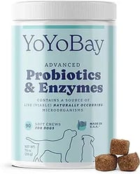 Probiotics for Dogs, Dog Probiotics and Digestive Enzymes