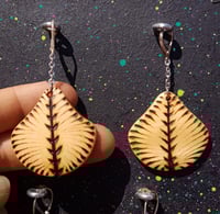 Image 3 of PENDIENTES CONCHA