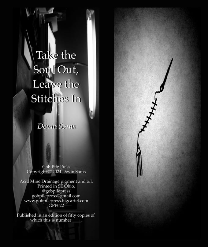Image of TAKE THE SOUL OUT, LEAVE THE STITCHES IN by Devin Sams