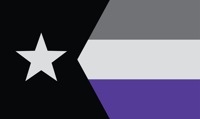 Image 15 of Minnesota Fan Flag – Stars & Stripes (15 styles)