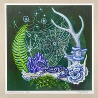 Image 1 of Constellation Weaver~ Limited Edition Print