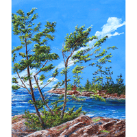Image 1 of - Where The Wind Lives -