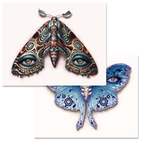 Image 1 of Lepidoptera 14 /15 - 2 print set