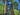 - Old Growth Forest -