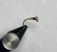 Image 2 of Rainbow Warrior Perdigon