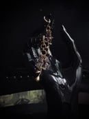 Image 2 of rose garden earrings