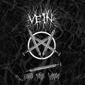Image of Vein – ...Into the Vein 12" LP