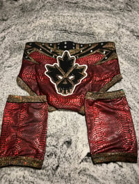 Image 2 of Shawn Spears wrestling gear - Ring Worn