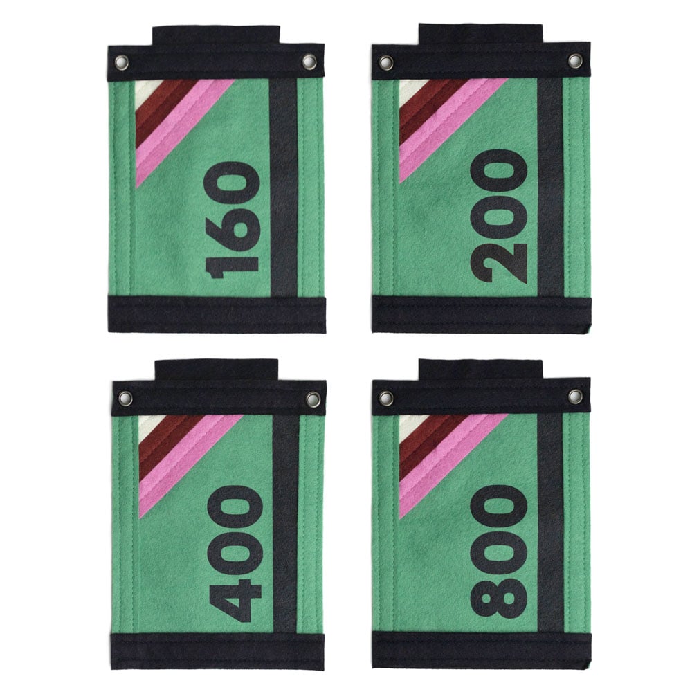 Image of 35mm Film Canister Felt Pennant