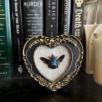 Xylocopa Caerulea Blue Carpenter Bee - Heart Frame - Antique Bronze 