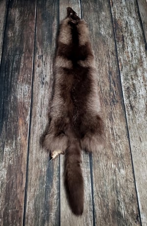 Image of Black Coyote Fur Pelt