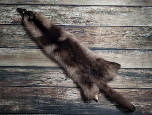 Image of Black Coyote Fur Pelt