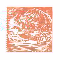 Image 1 of Taking Flight