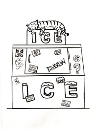 NYC Ice Box Cat