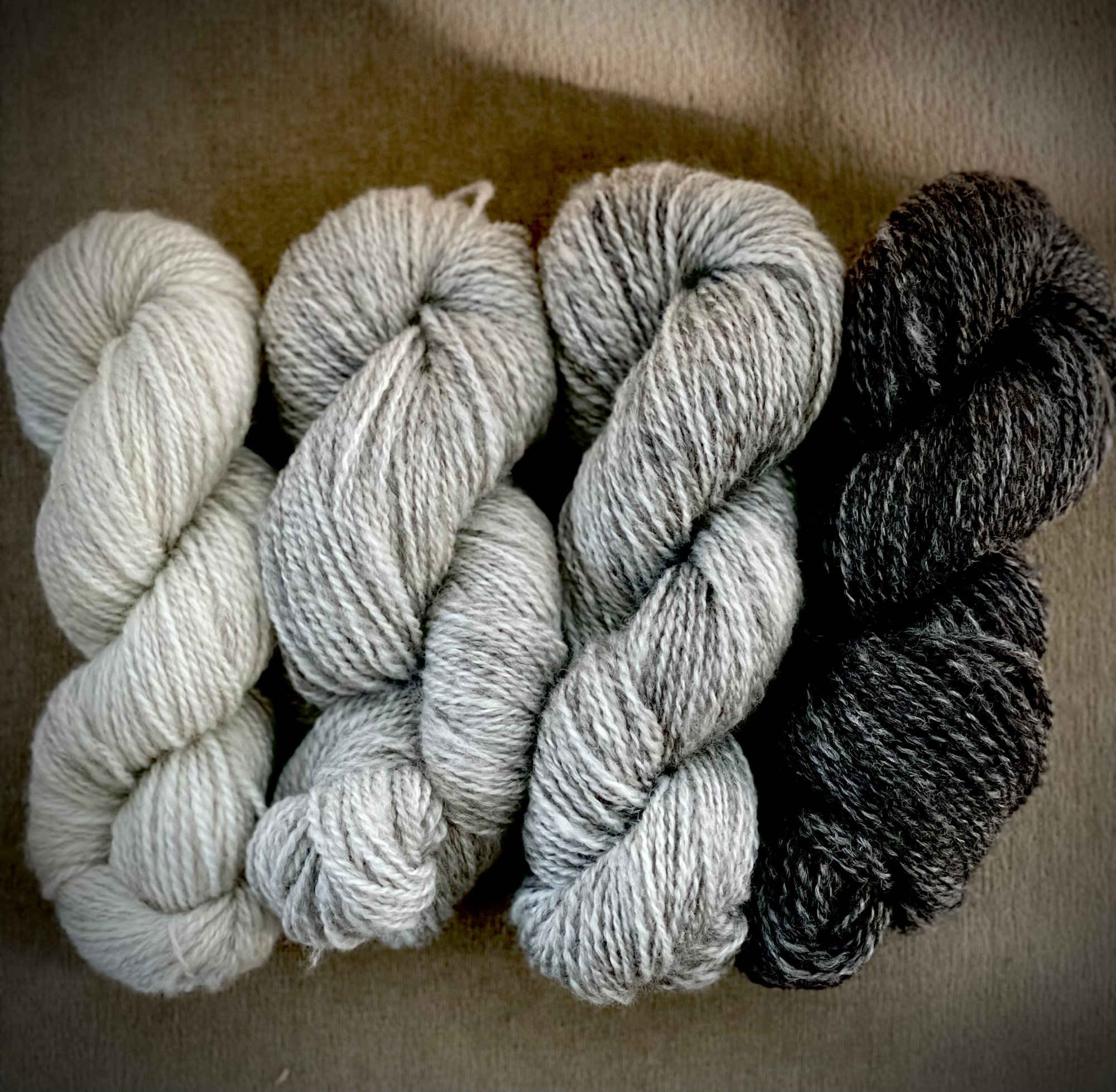 Hand spun CVM wool yarn -- natural light hotsell gray handspun wool yarn