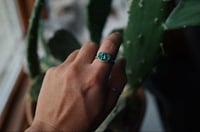 Sierra Bella turquoise ring (8)