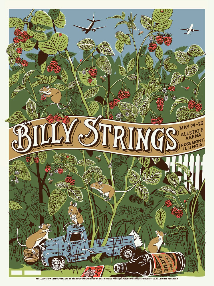 Image of Billy Strings Rosemont 2024