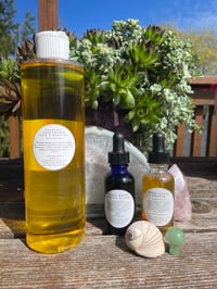Image 2 of Plant Based Bundle
