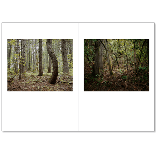 Image of Jenny Riffle - Primordial