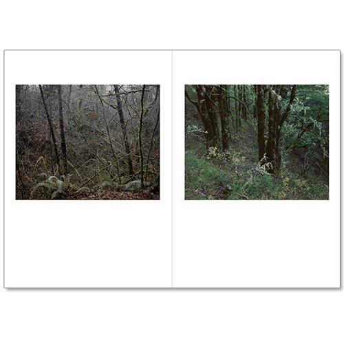 Image of Jenny Riffle - Primordial